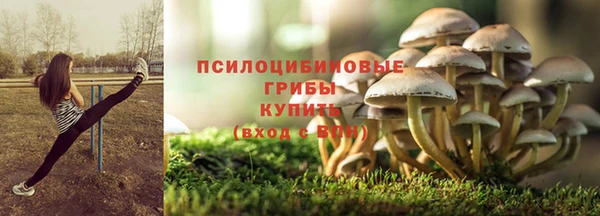 ПСИЛОЦИБИНОВЫЕ ГРИБЫ Армянск