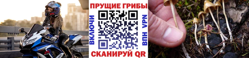 площадка наркотические препараты  где купить наркоту  MEGA ссылки  Октябрьск  Галлюциногенные грибы GOLDEN TEACHER 